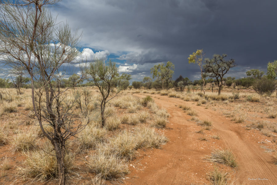 5 Day Photo Challenge | Alice Springs