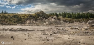 Hells Gate Rotorua New Zealand - Photography By Racheal Christian