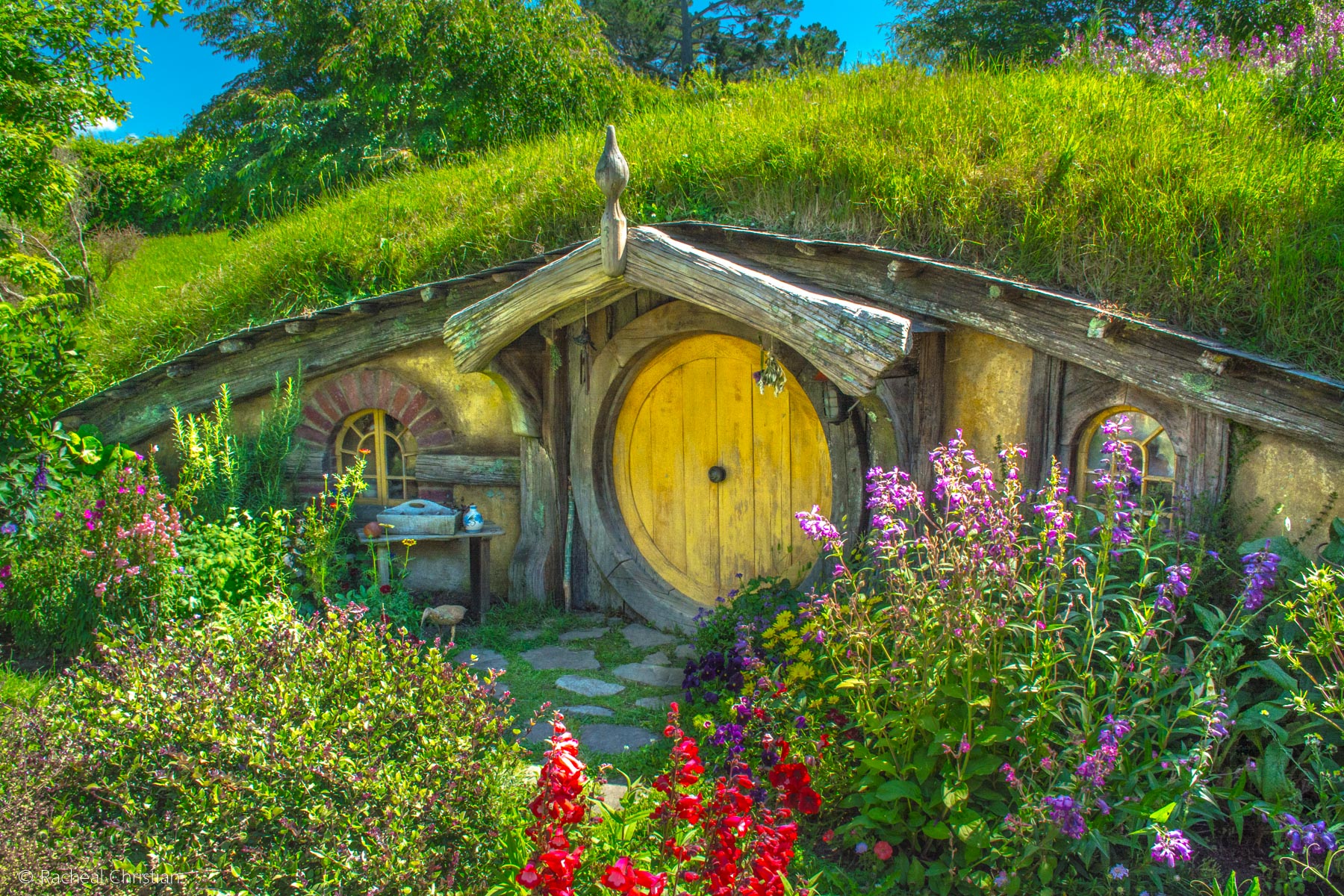 Flowers In The Shire - Hobbiton by Racheal Christian -