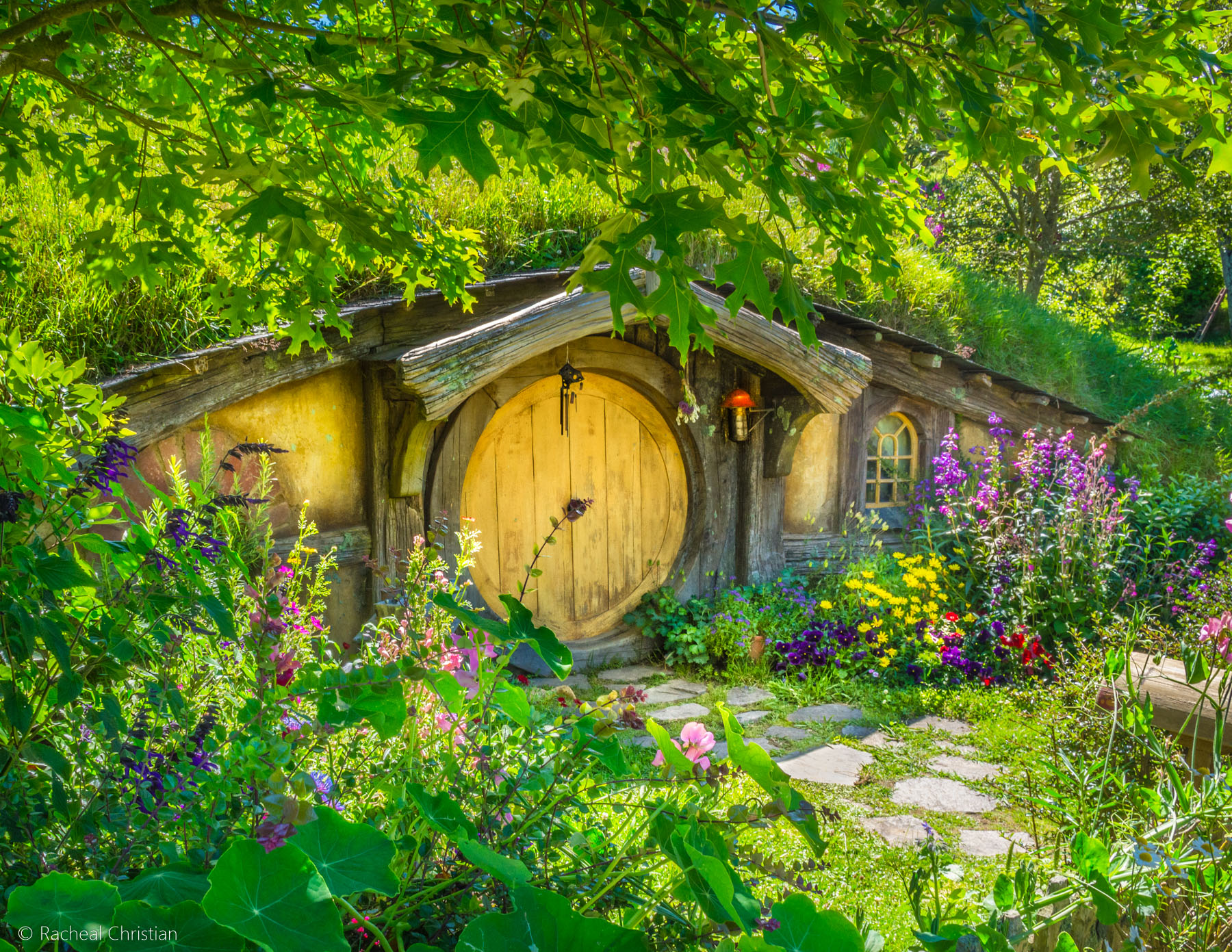 Hobbit Cottage - Hobbiton by Racheal Christian -