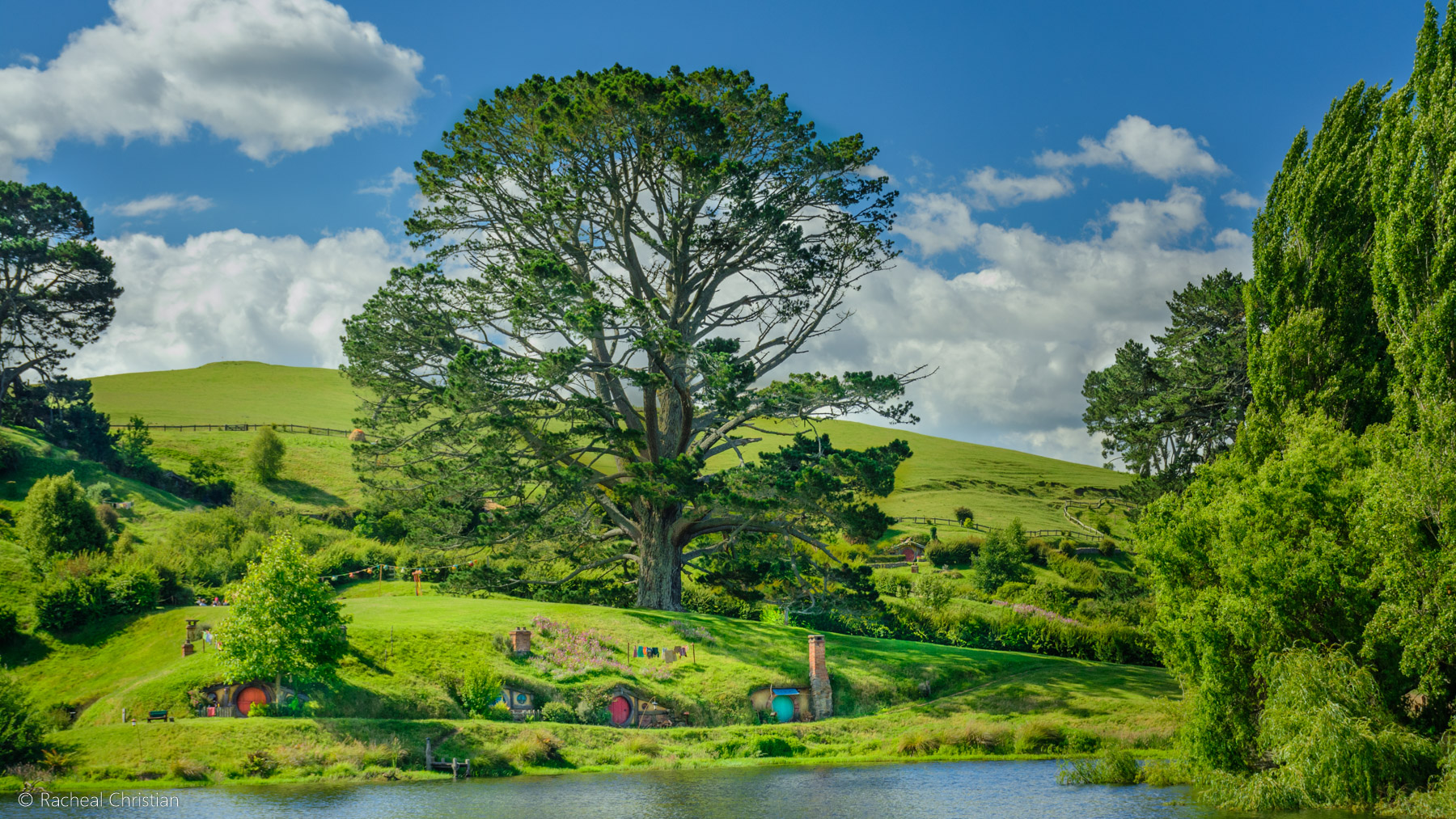 The Party Tree - Hobbiton by Racheal Christian -