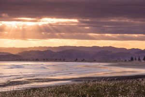 Waikanae Beach | Gisborne NZZ