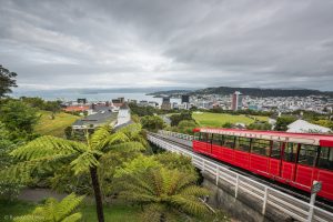 Great Start To NZ Photo Tour In Wellington by Racheal Christian